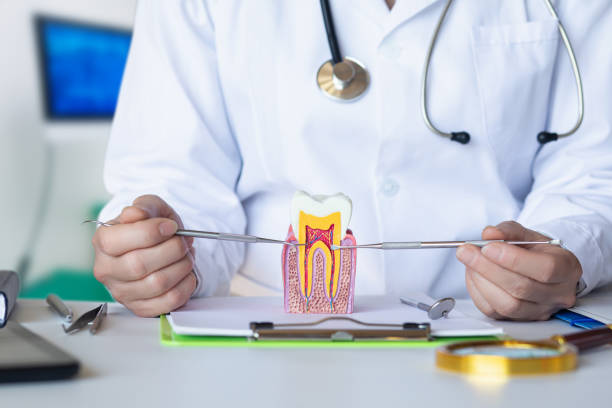 Best Walk-In Emergency Dentist in East Missoula, MT